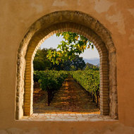 venster op wijngaard canvas