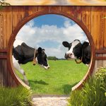 tuinposter gat schutting koeien