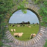 tuinposter stenen doorkijk geheime tuin hollands landschap schapen koeien