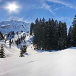 kerstdorp achterwand bos met besneeuwde bergen