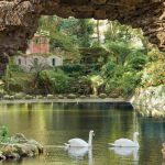 tuinposter doorkijk rots zwanen