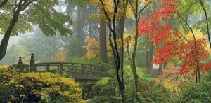 tuinposter doorkijk japanse brug