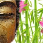 boeddha bamboe en roze bloemen