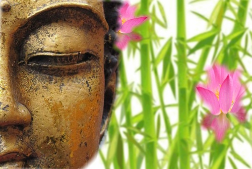 boeddha bamboe en roze bloemen