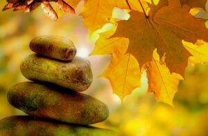 Relax stenen en herfstbladeren