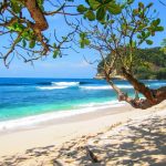 tropisch strand met bomen