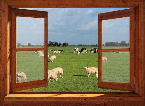 Tuinposter openslaand raam naar weiland met schapen en koeien