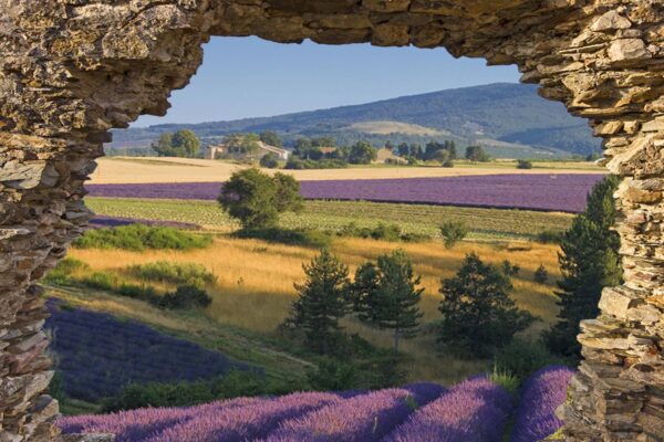 tuinposter doorkijk rots lavendel