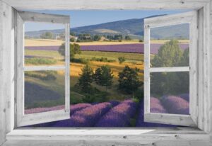 Openslaand wit venster: Lavendel
