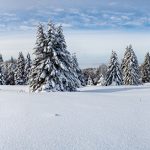 kerstdorp achtergrond bomenlandschap panorama