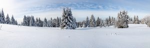 kerstdorp achtergrond bomenlandschap panorama