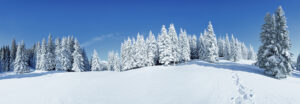 blauwe-lucht-kerstdorp achtergrond