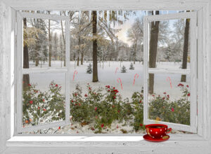 Open wit venster - winter - frosti park fancy kerst