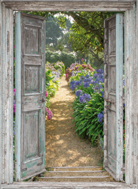 tuinposter deuren hortensia