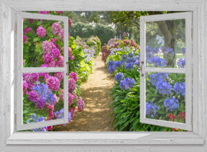 tuinposter venster hortensiatuin pad