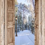 winterposter bruine deuren winterbos