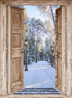 winterposter bruine deuren winterbos