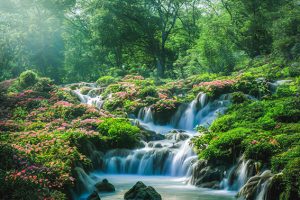 waterval met bloemen
