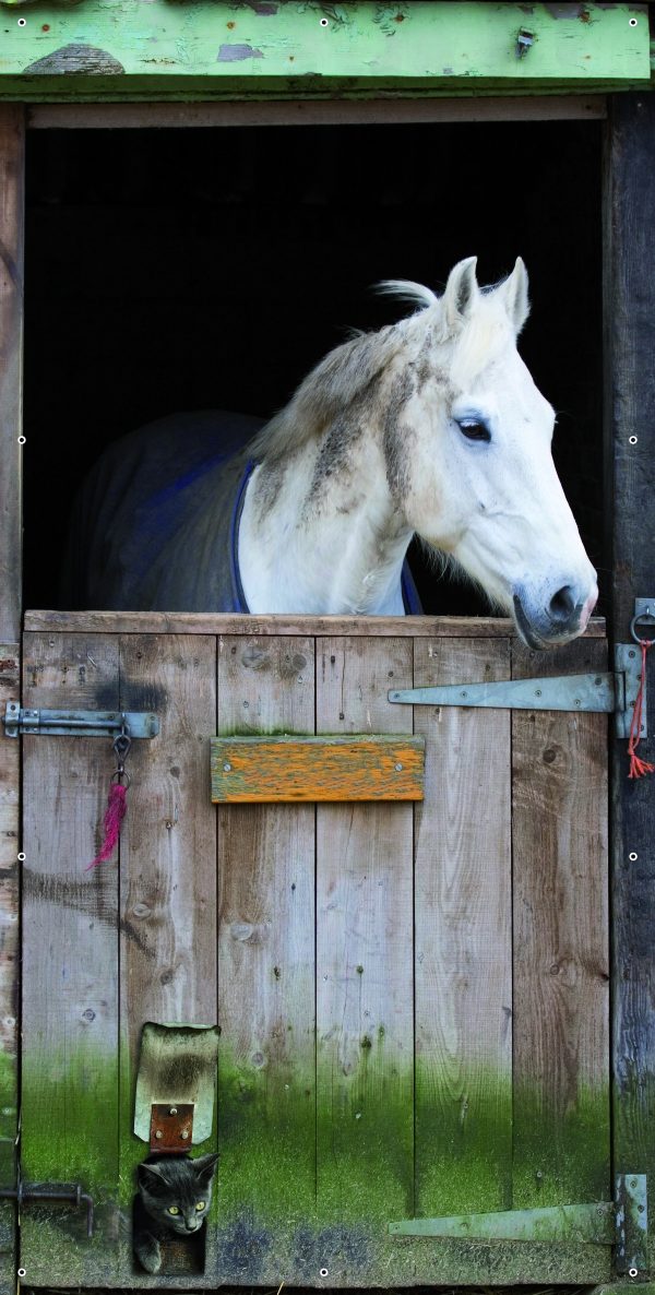 Paard over staldeur