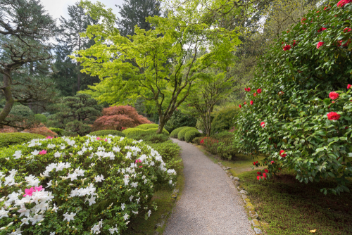 Garden,Path,At,Portland,Japanese,Garden,In,Spring,Season